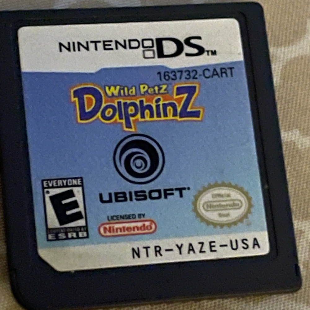 Nintendo DS